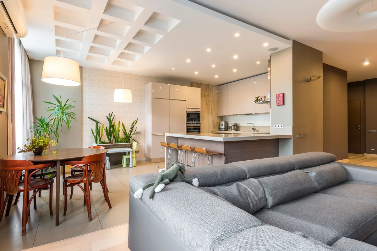 Bright luxury apartment