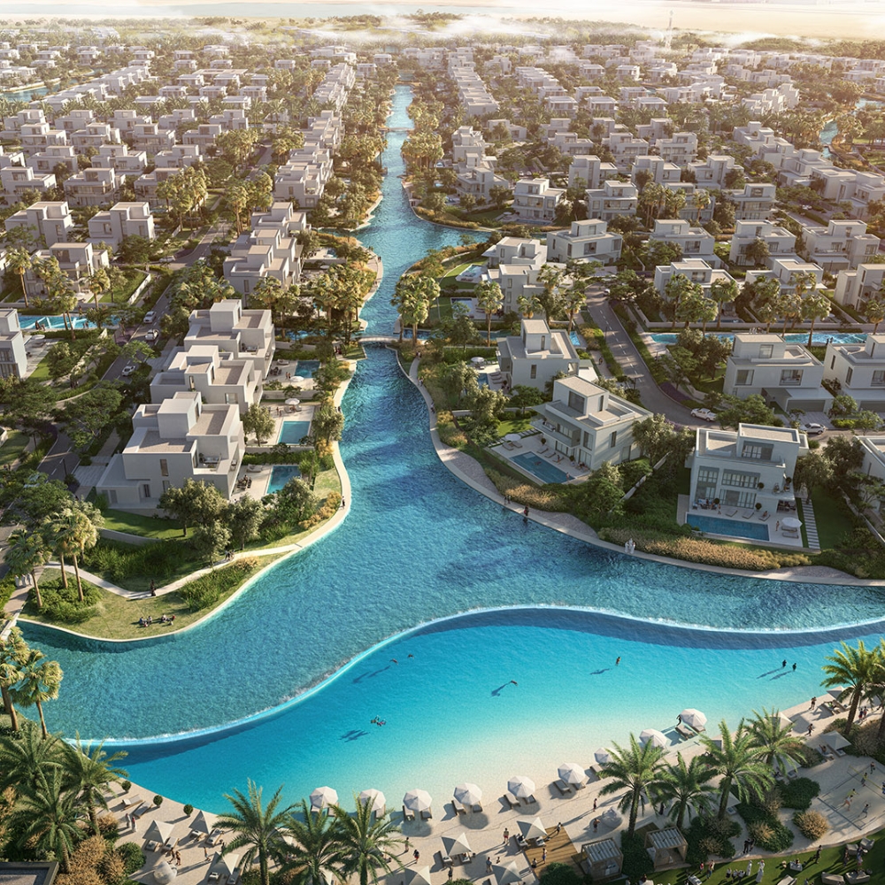 The Oasis